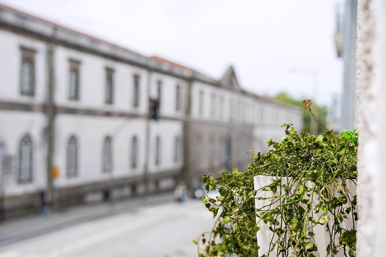 Gehele studio, Studio voor 2 personen met balkon in Miragaia (Porto), Porto