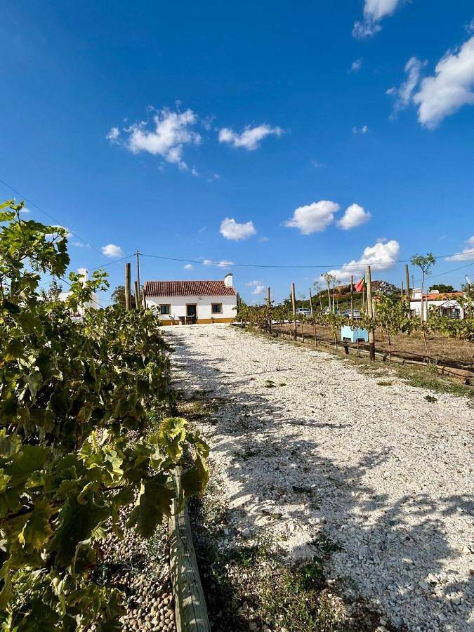 Casa de férias para 6 pessoas, com terraço e jardim, com animais de estimação em Vila Viçosa