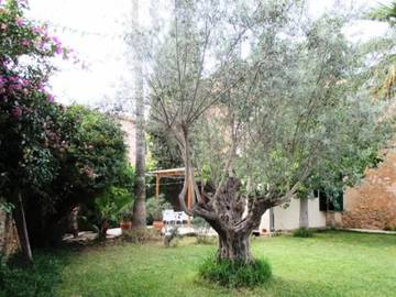 Apartment in Sencelles, Majorca Center für 3 