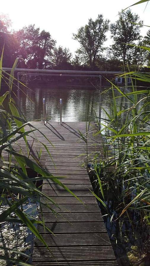 Ferienwohnung für 6 Personen, mit Ausblick und Garten sowie Seeblick, kinderfreundlich in Kurpfalz - 4