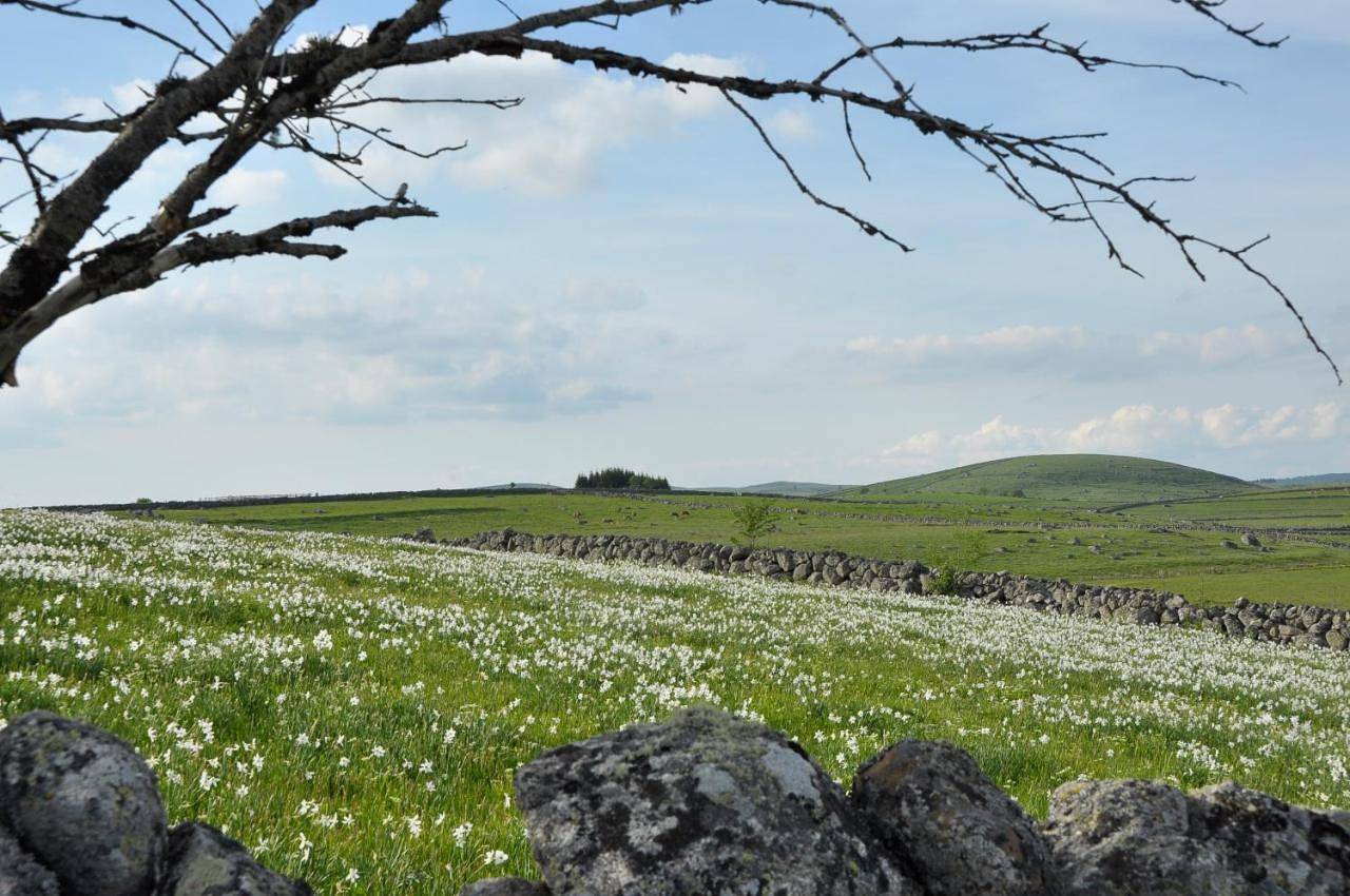 Gîte La Belle Aubrac in Saint-Côme-d'Olt, Parc naturel régional de l'Aubrac