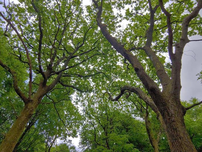 Ferienhaus für 8 Personen, mit Pool und Terrasse, kinderfreundlich in Jegum - 4