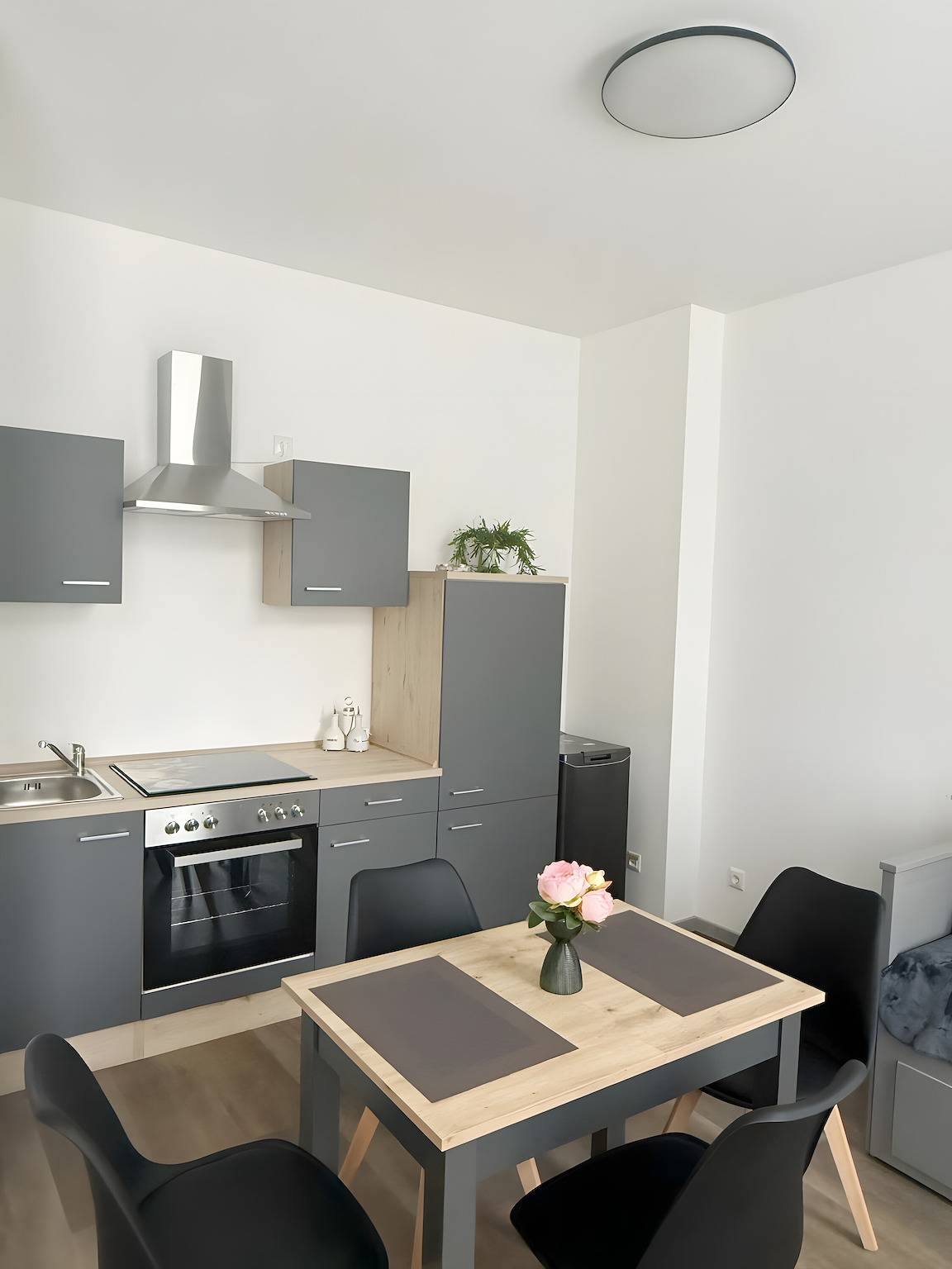 Ganze Wohnung, Apartment 'Murihaus' mit privater Terrasse und Wlan in Aue, Erzgebirge