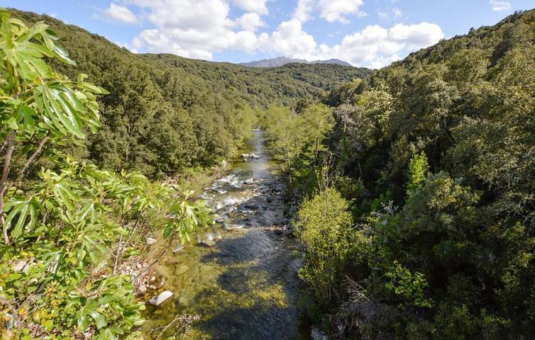 Gîte pour 3 personnes, avec vue et terrasse, adapté aux familles à Petreto-Bicchisano - 4