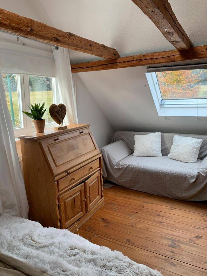 Ganze Wohnung, Ferienhaus Rennsteig-Wander-Mountainbike und Langlaufparadies in Sachsenbrunn, Rennsteig