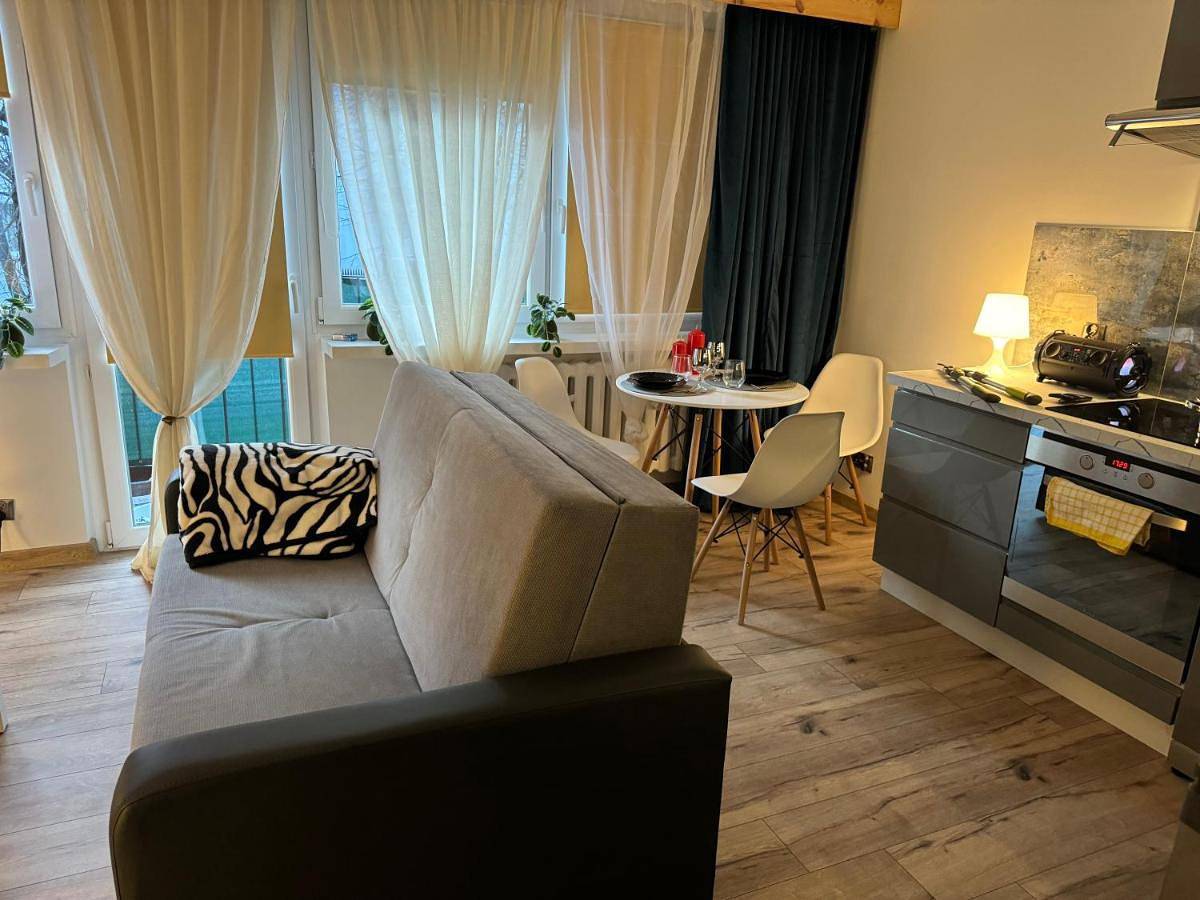 Cały apartament, One-Bedroom Apartment in Ruda Śląska, Śląsk