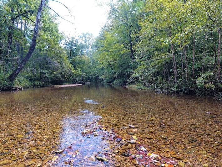 Vacation house for 8 people, with yard, with pets in Kentucky Lake