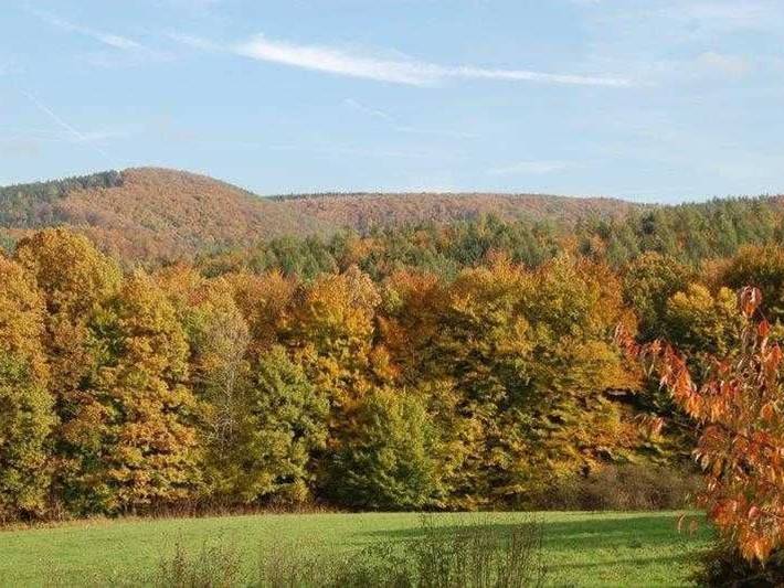 Ferienwohnung für 2 Personen, mit Terrasse, mit Haustier am Edersee - 2