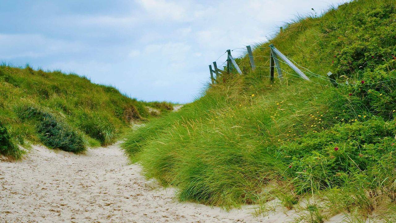 Ferienhaus für 8 Personen (139 m²) in Blåvand in Blavand, Varde