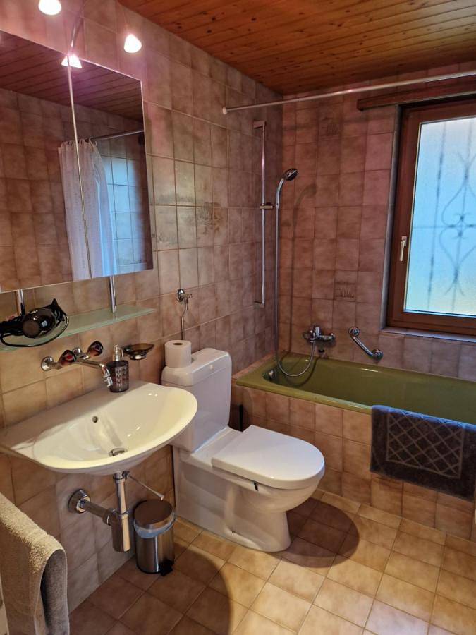 Gîte pour 7 personnes, avec terrasse ainsi que vue et jardin, animaux acceptés à Thun - 3