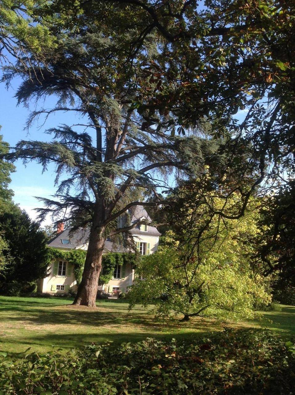 Château de La Villette in Saint-Août, Région de La Châtre
