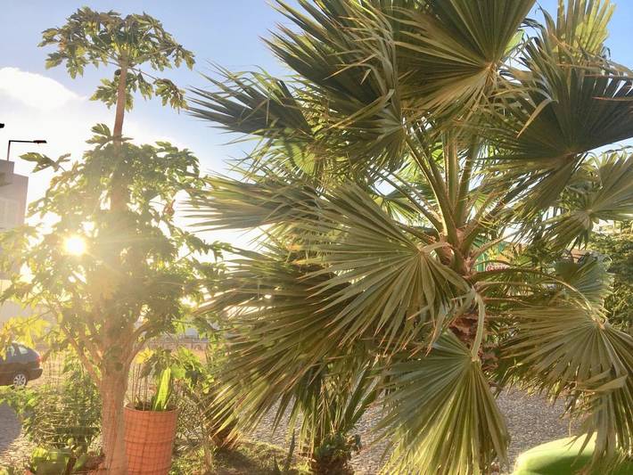 Maison d’hôte pour 2 personnes, avec jardin et terrasse, adapté aux familles dans São Vicente - 2