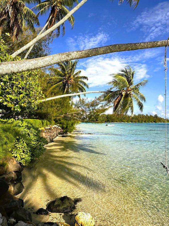 Villa pour 11 personnes, avec jardin dans Mo'orea - 3