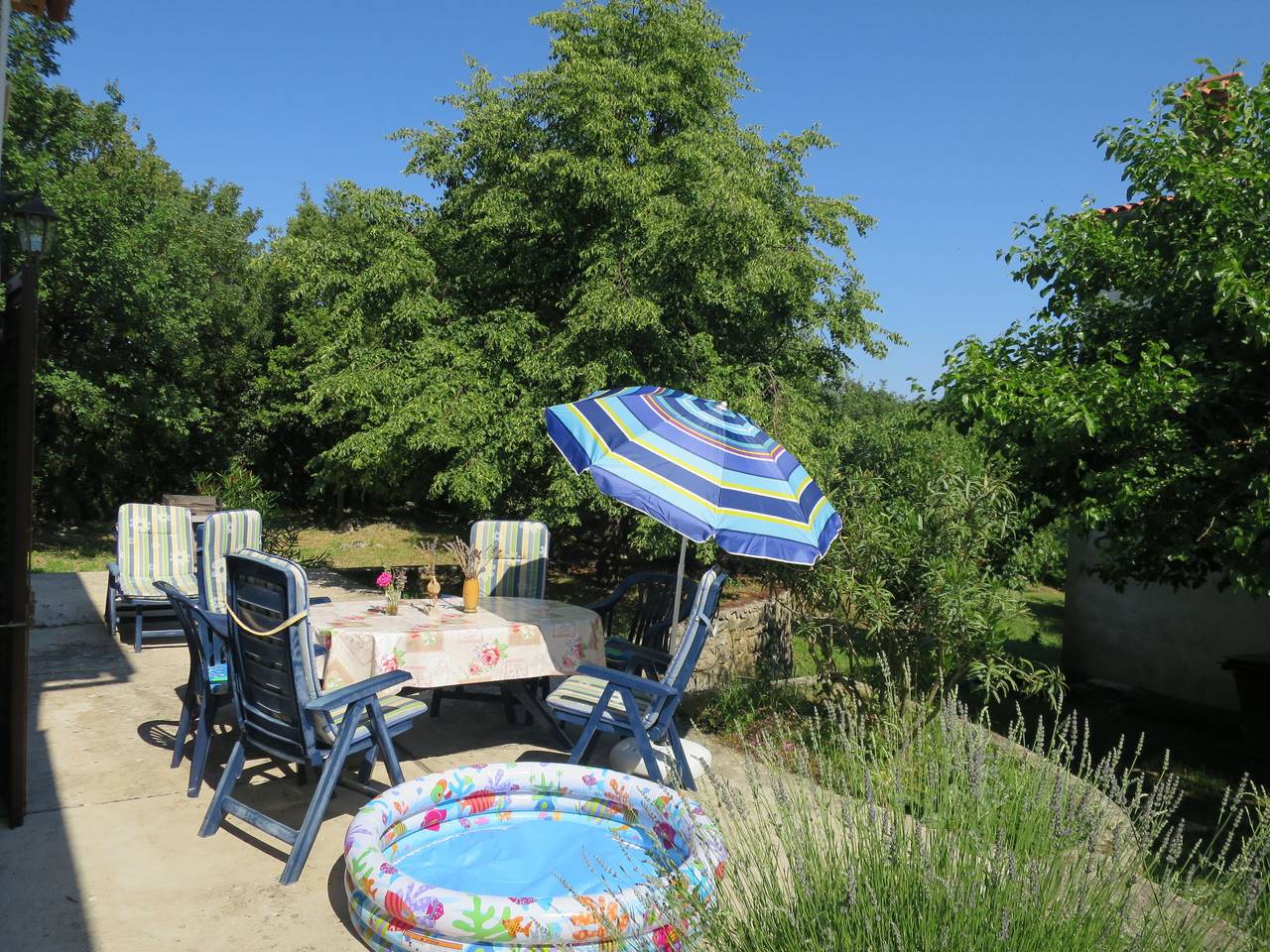 Salvia in Labin, Wschodnie Wybrzeże Istrii