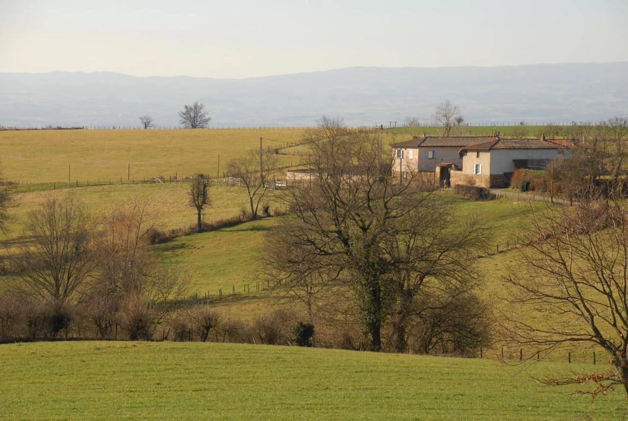 Chez Jacotte et Elia in Saint-Galmier, Montbrison