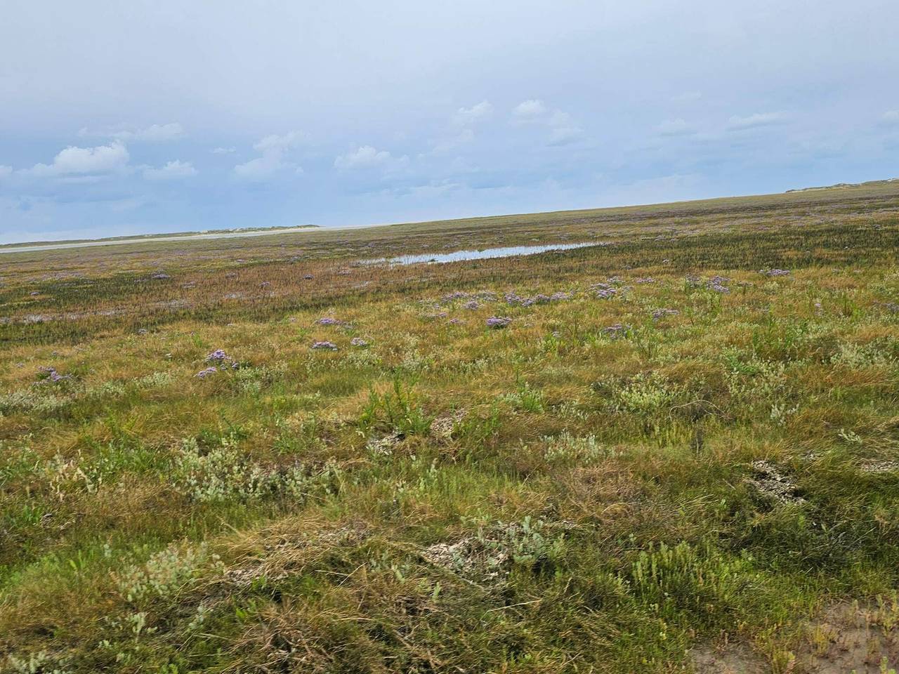 Panoramablick Golf Ruckzug -- By Traum Ferienwohnungen in Sønderstrand, Havneby