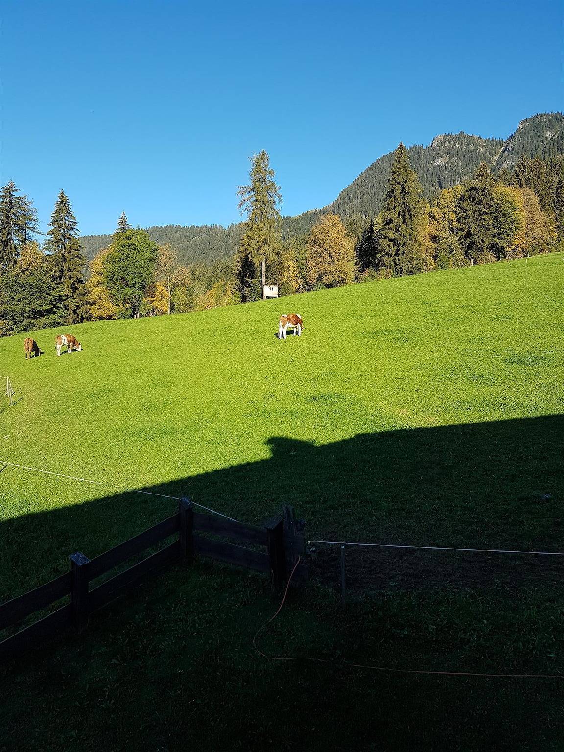 Einzelzimmer ohne Balkon in Alpbach, Kaisergebirge