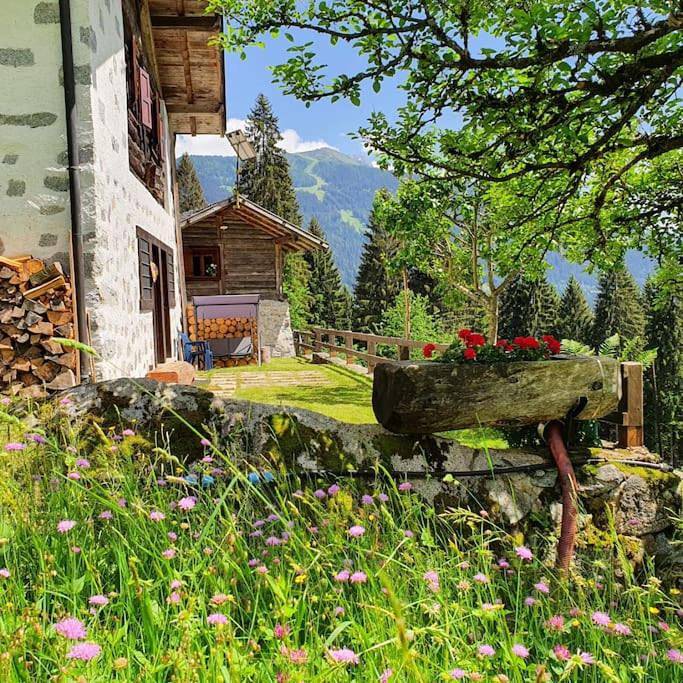 Chalet per 6 persone, con panorama e giardino in Alpi dell'Adamello e della Presanella