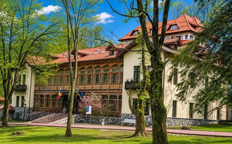 Hôtel pour 3 personnes, avec vue et jardin à Sinaia - 2