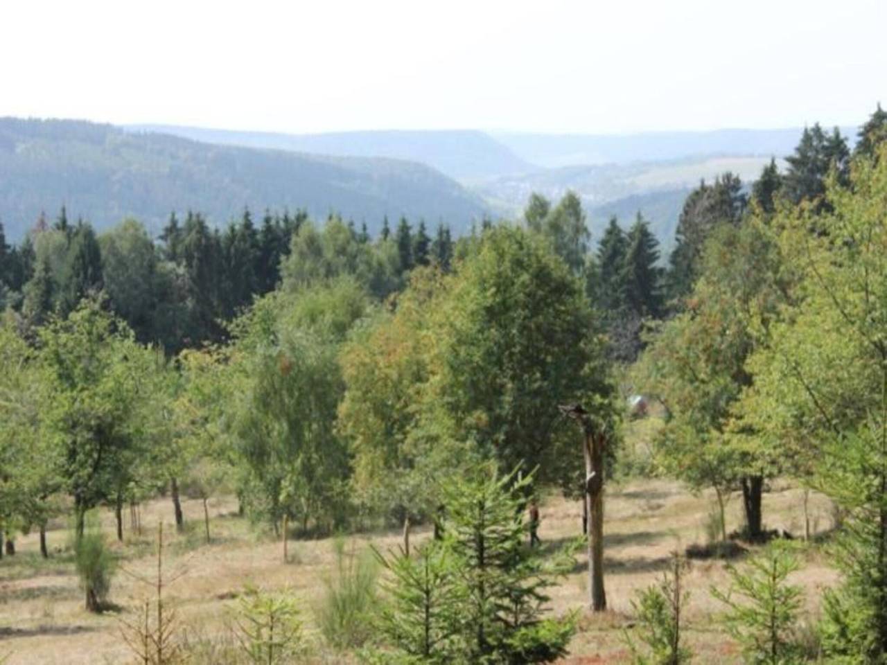Familienaufenthalt im Suhler Wald in Goldlauter - Heidersbach, Suhl