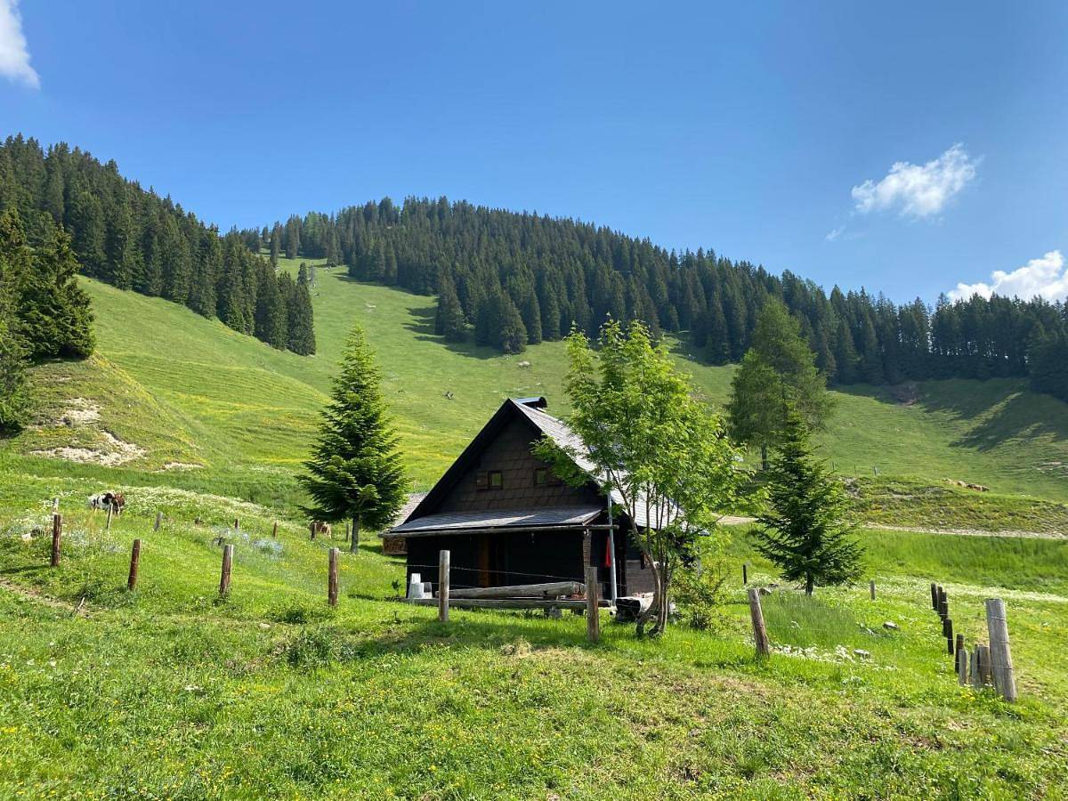 Jörgenbauerhütte in Spital am Pyhrn, Kirchdorf an der Krems (Bezirk)