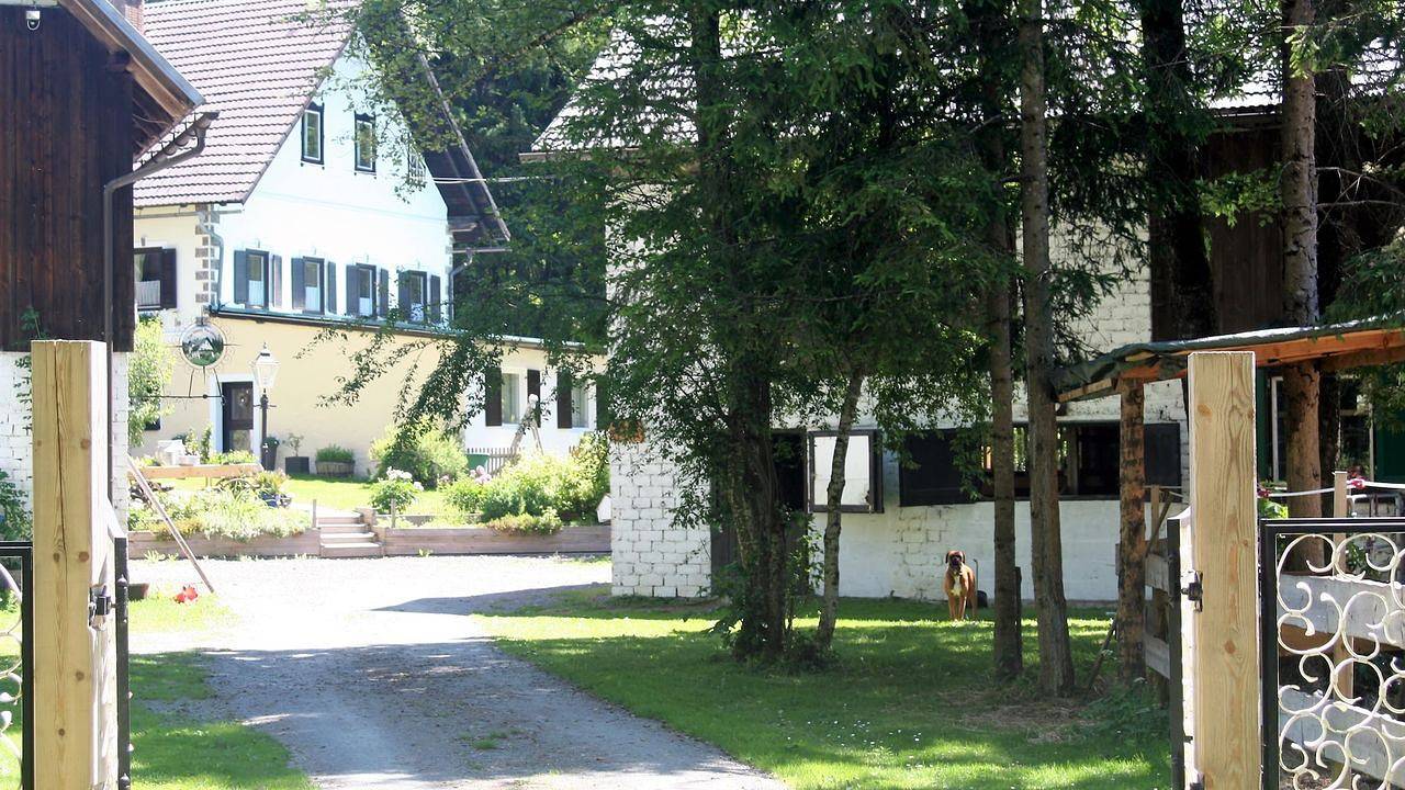 Ferienhaus für 8 Personen (140 m²) in Hermagor in Gailtaler Alpen, Gitschtal