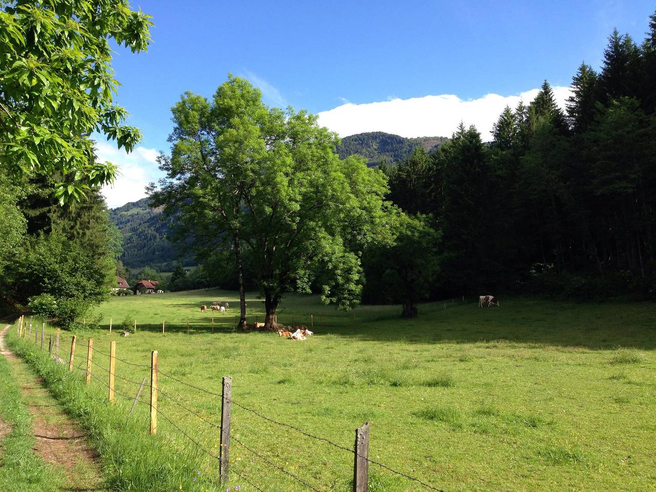 Einzelzimmer mit Balkon und Seeblick, foto 12