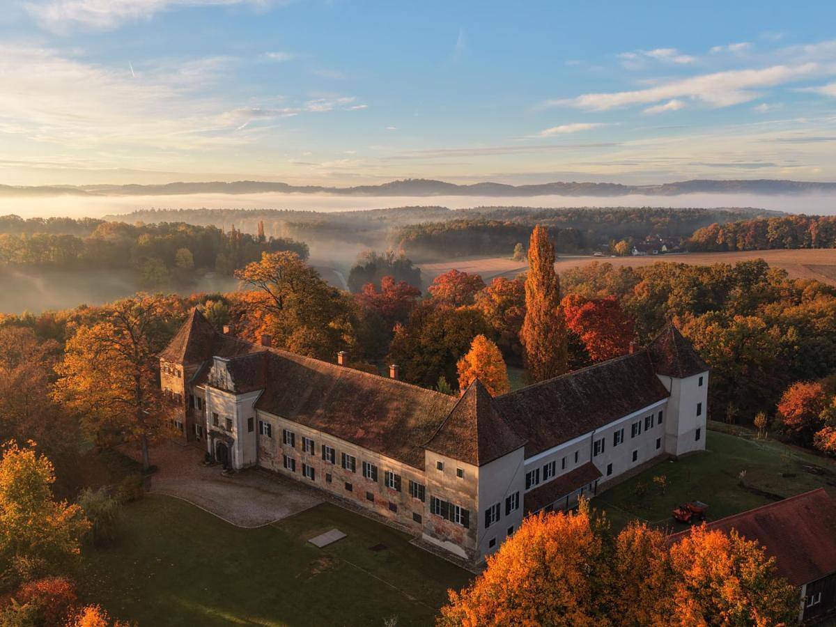 Ganze Wohnung, Schloss Welsdorf in Fürstenfeld, Steirerland