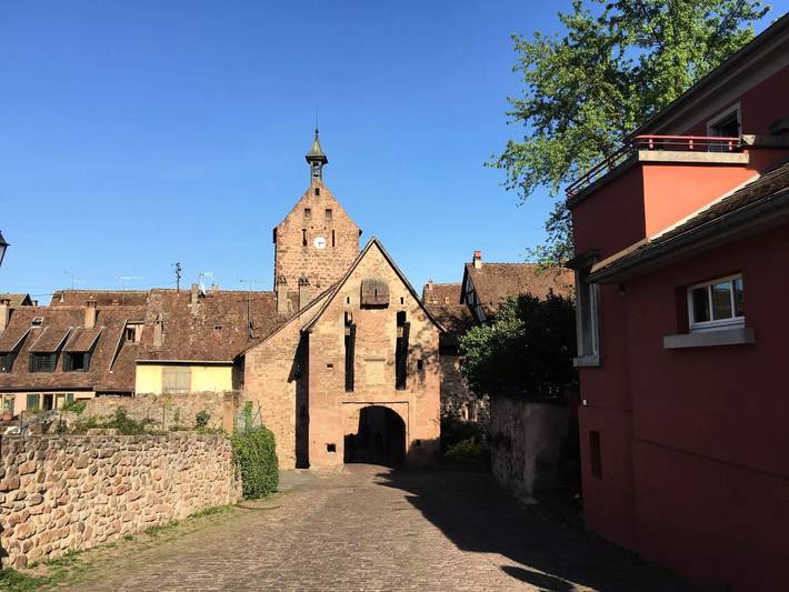 Gîte pour 5 personnes, avec jardin à Riquewihr - 4
