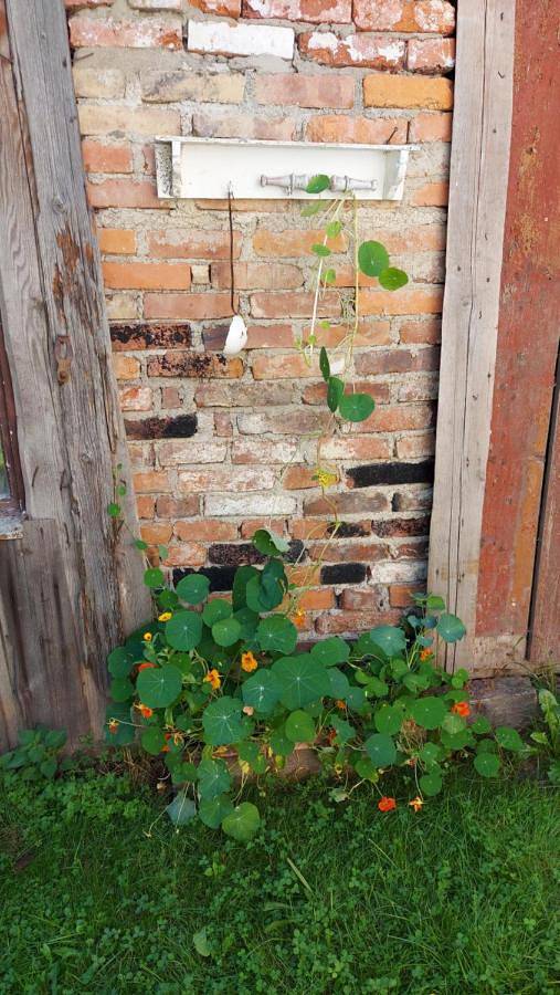 Domek z duszą in Szklarska Poręba, Sudety (Polska)