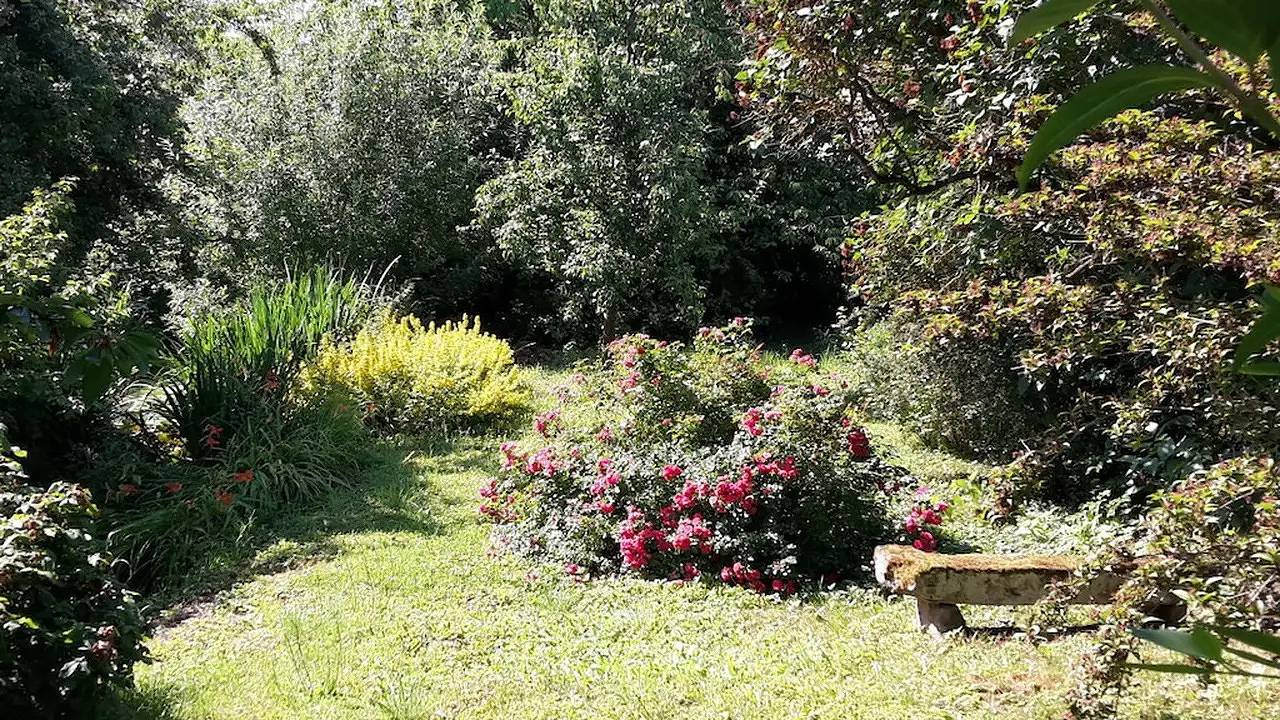Ferienhaus für 4 Personen (65 m²) in Niederhorbach in Niederhorbach, Südliche Weinstraße
