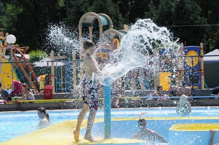 Parc de vacances pour 4 personnes, avec bassin pour enfant et jacuzzi ainsi que piscine et terrasse à Opglabbeek - 4