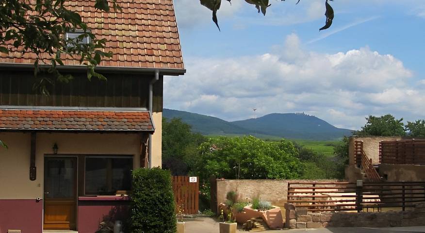 Chambre d’hôte pour 2 personnes, avec jardin et piscine, animaux acceptés dans le Haut-Rhin - 2