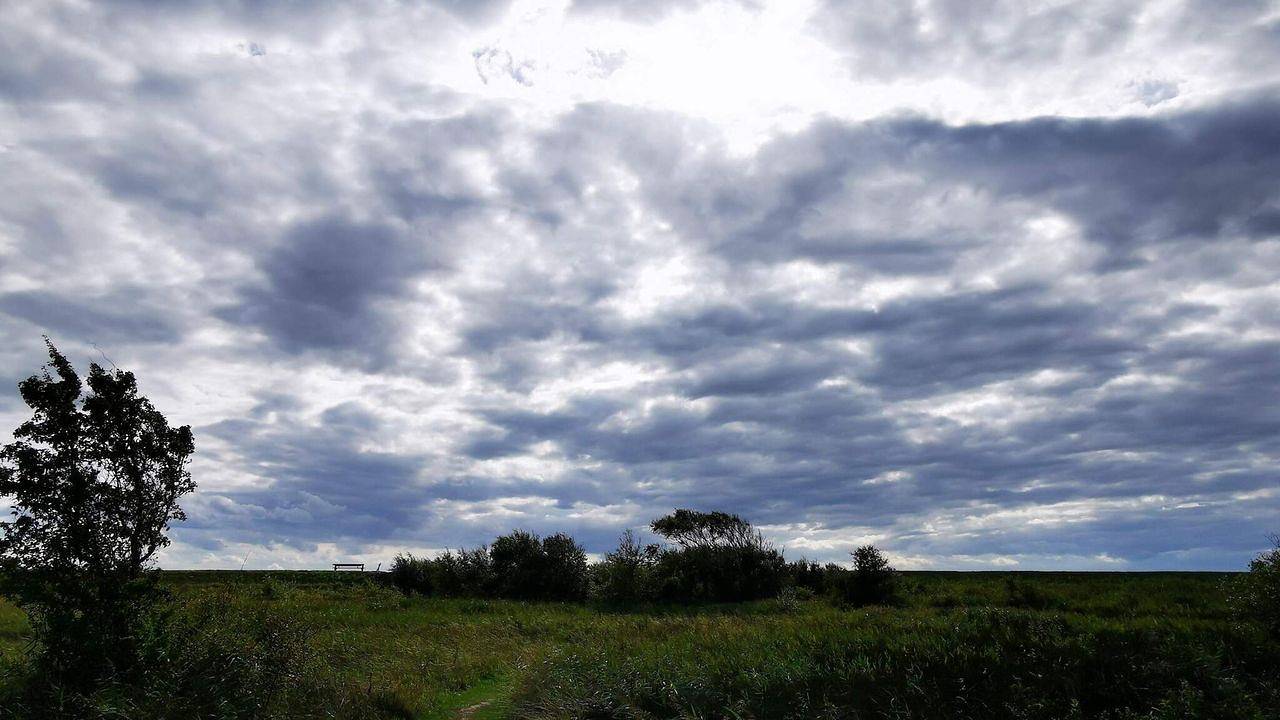 Ferienhaus für 6 Personen (72 m²) in Rødby in Hyldtofte Østersøbad, Rødby