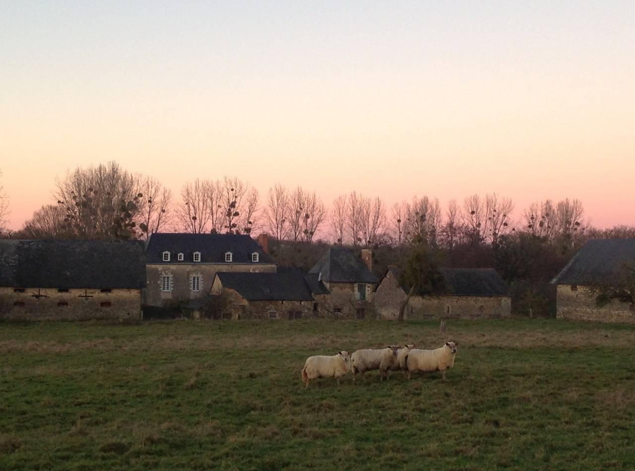 Les Grands-Aulnais - Suite Aulnes-Jacinthe in Astillé, Mayenne