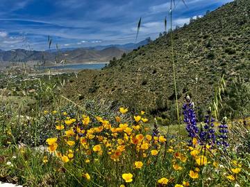 Vacation House for 6 Guests in Sequoia National Park, Kern County, Picture 2