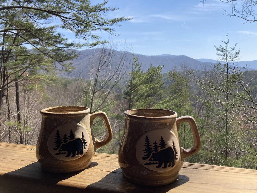 Great Mountain Views, Family Friendly, Hot tub, 5 miles to Downtown Blue Ridge in Cherry Log, Chattahoochee National Forest