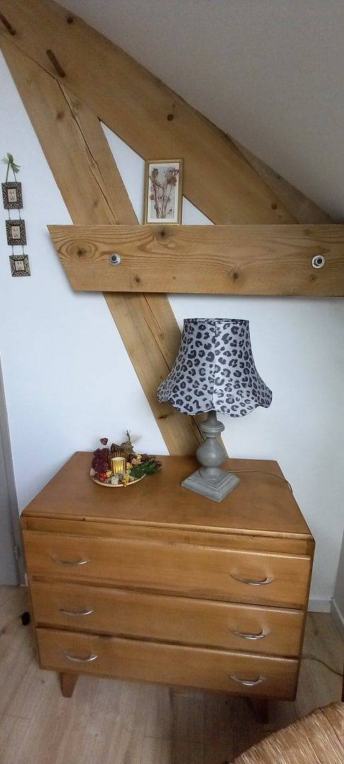 Chambre d’hôte pour 2 personnes, animaux acceptés dans Seine-et-Marne - 3