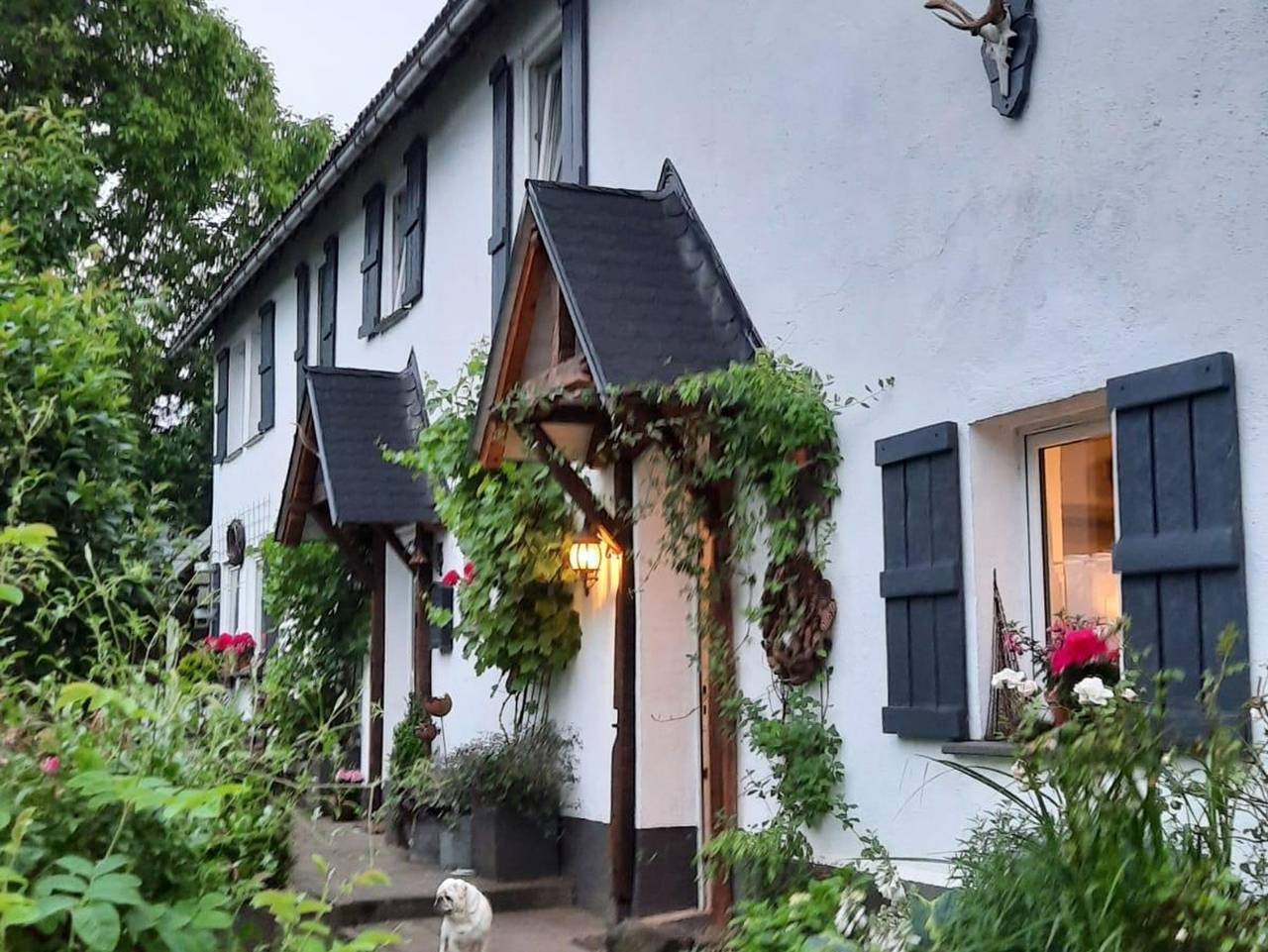 Ganze Ferienwohnung, Ferienwohnung Wiesensee - 1 Doppelbett Wohnung mit Schlafsofa in Pottum, Westerburg & Umgebung