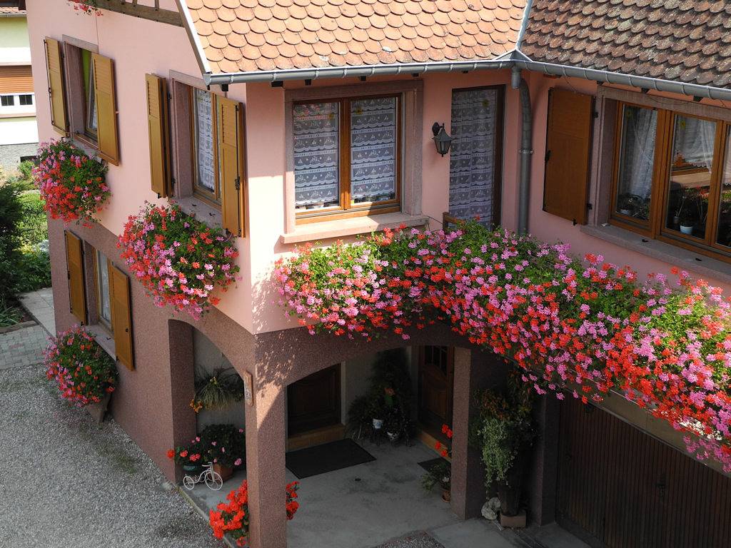 Epfig Gîte Les Hirondelles - 2 gîtes au centre Alsace in Epfig, Région de Sélestat-Erstein