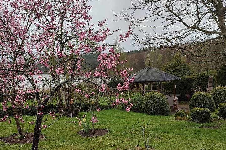 Ganze Wohnung, Ferienwohnung direkt am See in Wokuhl-Dabelow, Mecklenburg-Strelitz