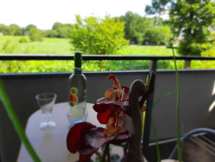 Ferienwohnung für 8 Personen, mit Balkon in Friesoythe - 2