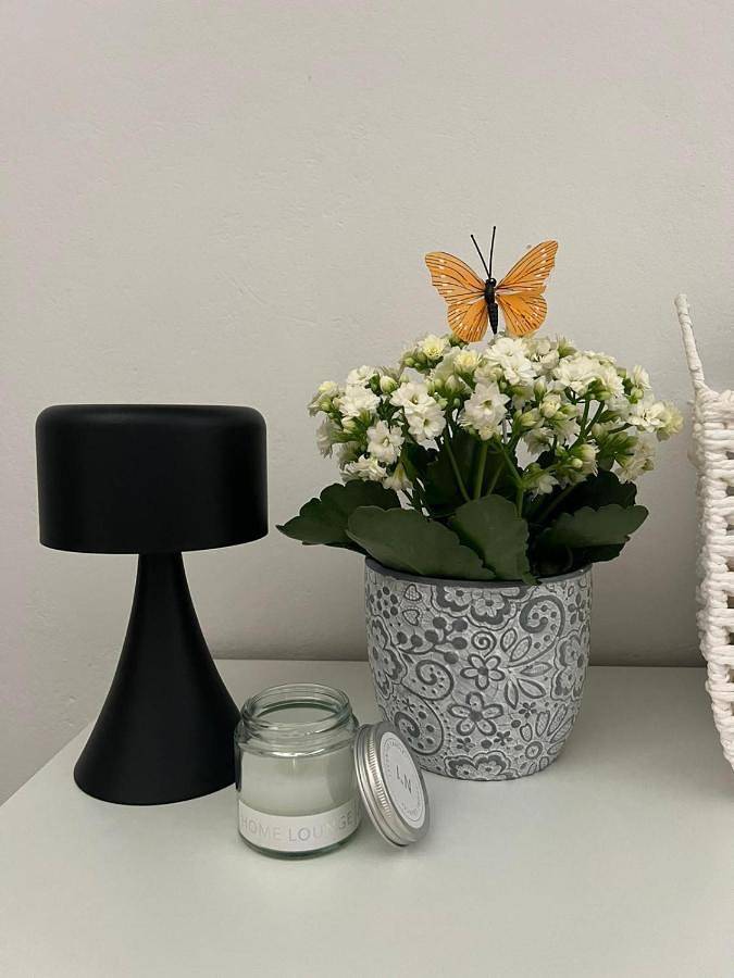 Gîte pour 2 personnes, avec terrasse dans Érétrie - 2