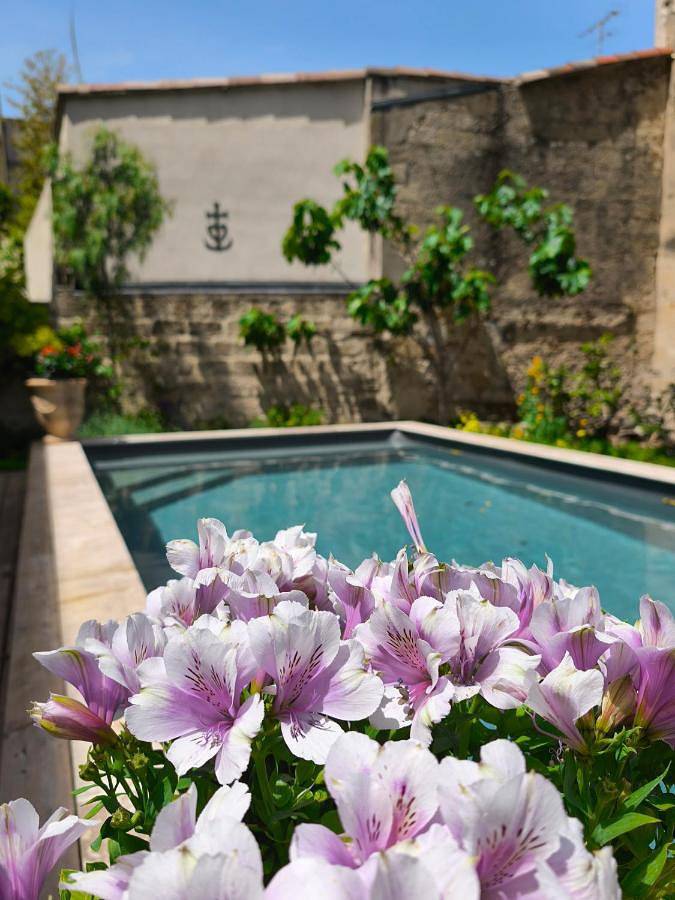 Alojamiento y desayuno para 2 personas, con terraza y vistas además de jardín y piscina - 1