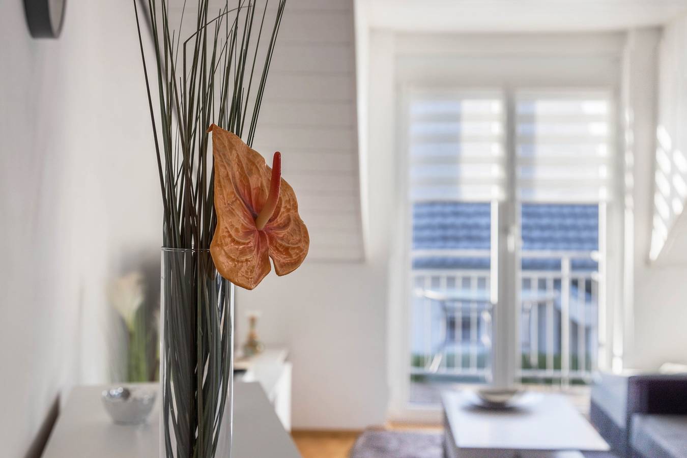 Ganze Wohnung, Ferienwohnung 'Am Salinensee' mit Balkon und Wlan in Bad Dürrheim, Mittlerer Schwarzwald