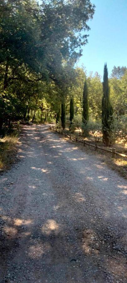 One-Bedroom Chalet in Tourves, Région de Brignoles