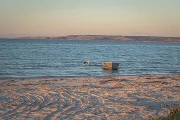 Lodge for 14 People in Island Beach (Kangaroo Island), Kangaroo Island, Photo 1