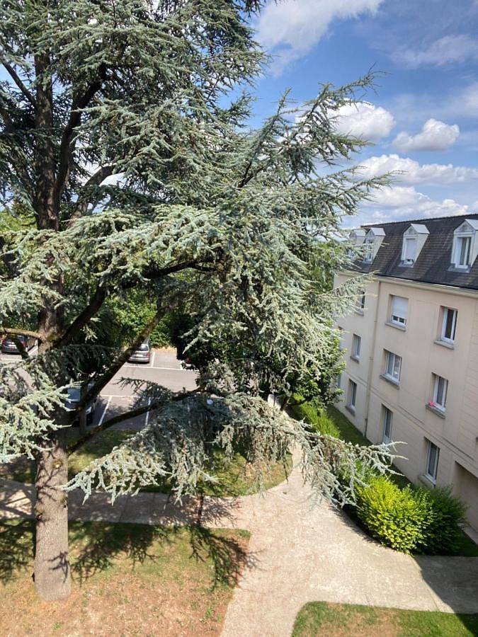 Gîte pour 2 personnes à Thorigny-sur-Marne - 4