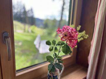 Hütte für 6 Personen in Buchenberg, Schwaben, Bild 3