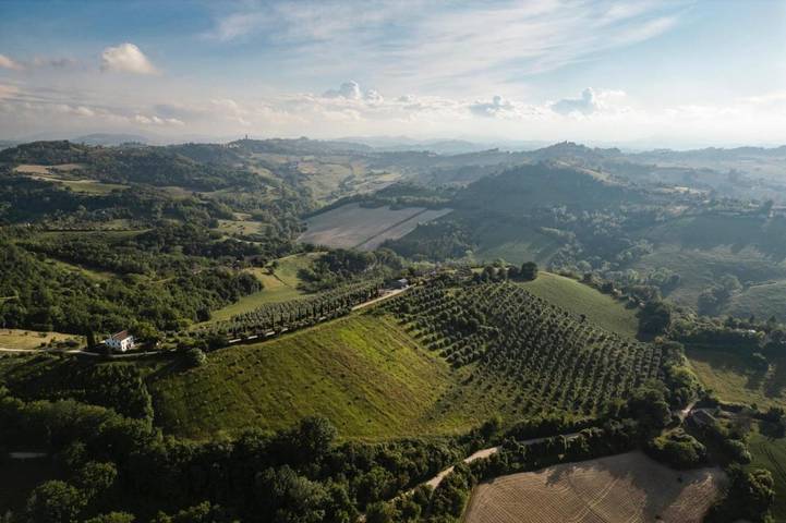 Gîte pour 5 personnes, avec jardin et piscine, animaux acceptés à Petritoli - 4
